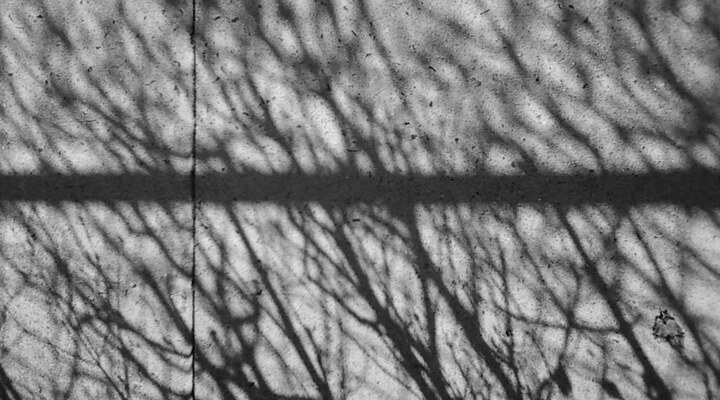 Shadows 2