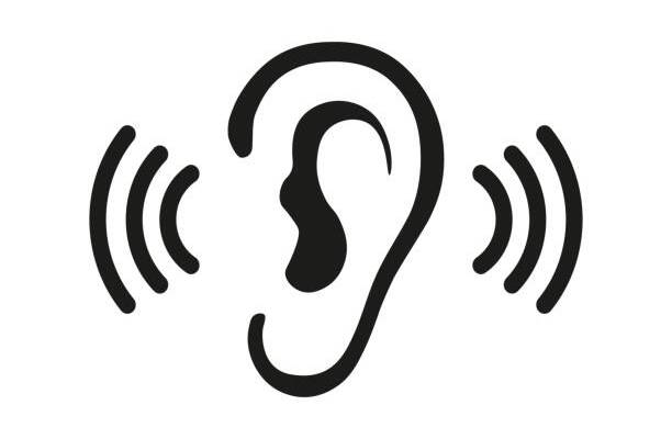 Ear