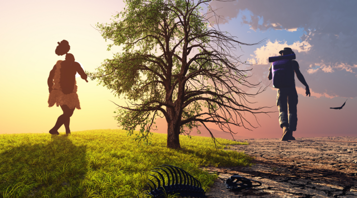 Evolution und mensch