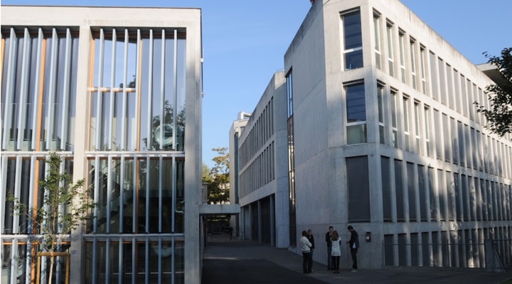 Beitragsbilder lionel-14