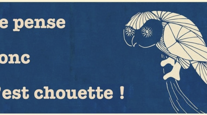 Logo-je-pense-donc-cest-chouette